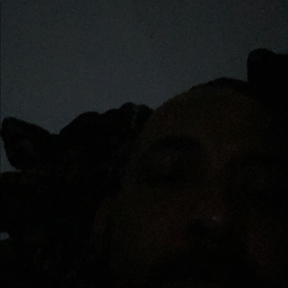 Meet your Posher, Victor